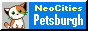 nc_petsburgh