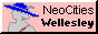 nc_wellesley